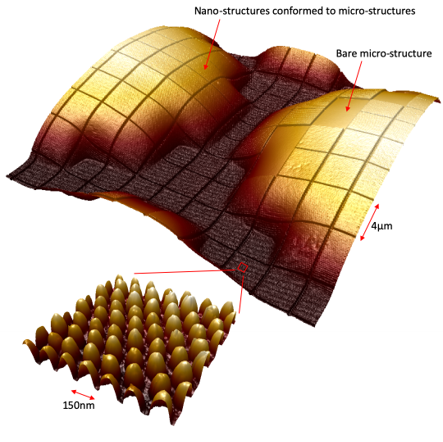 Nanotech Nano and micro structures.png